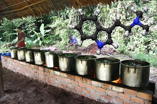 DMT Plant