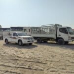 3 Ton Pickup for Rent in Sharjah Sajaa