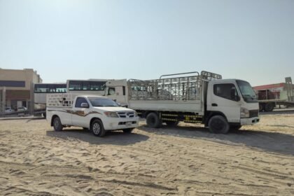 3 Ton Pickup for Rent in Sharjah Sajaa