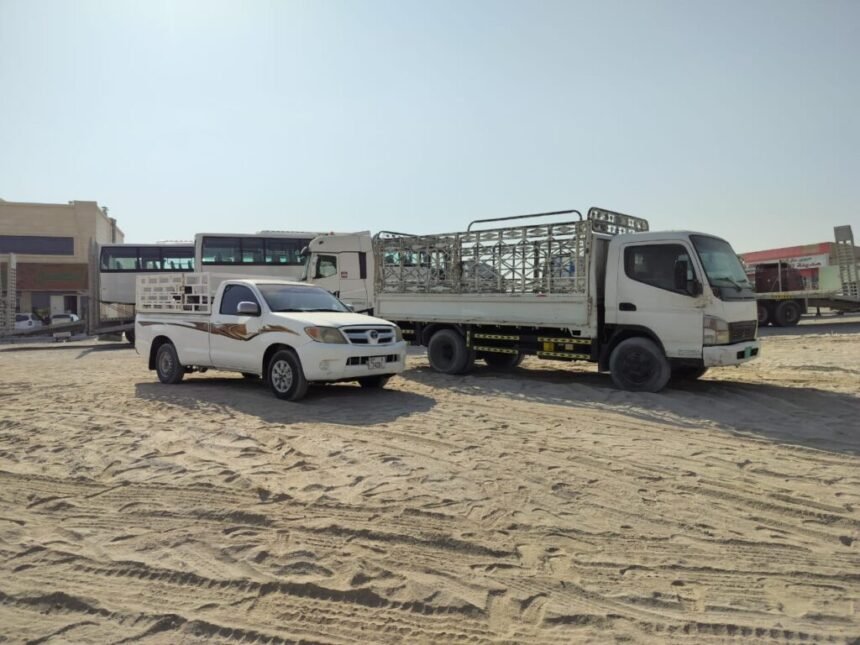 3 Ton Pickup for Rent in Sharjah Sajaa